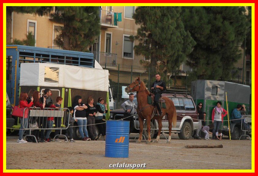 161106 equestre 067_tn.jpg